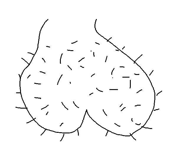 A crude hand-drawn doodle of a pair of hairy balls — the $DBALLS mascot
